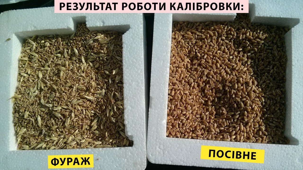 Сепаратор ІСМ-5 у роботі — калібрування зерна на 3 фракції